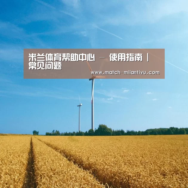 风能